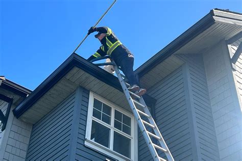 gutter cleaning goole|Maple Washing in Maple Ridge, BC .